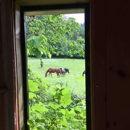 Auszeitshaeusel Ideal Fuer Naturfreunde Und Wanderer Casa de Férias *