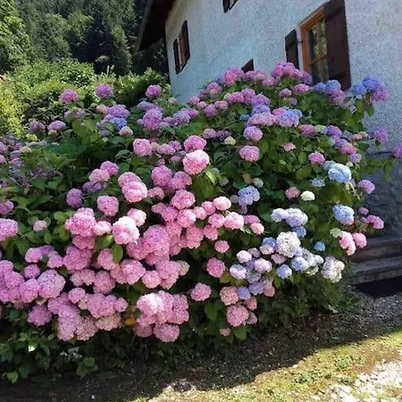Auszeitshaeusel Ideal Fuer Naturfreunde Und Wanderer *